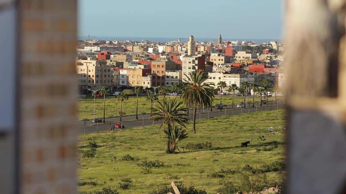 מחירון פרסום טלגרם בברזיל 2025 לכל הקטגוריות