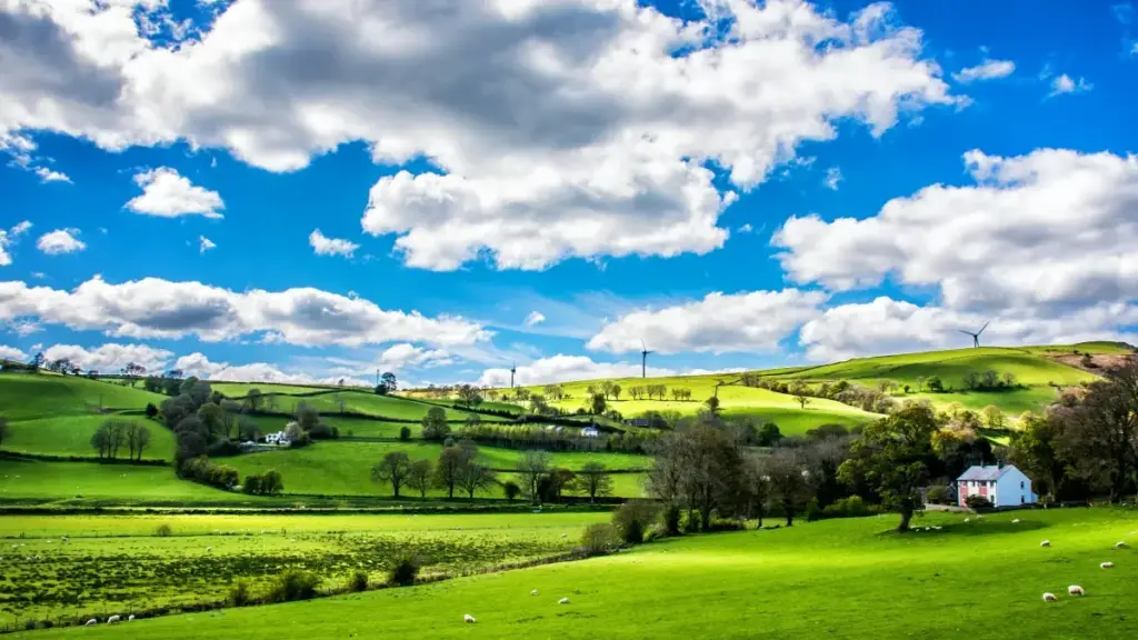 מדריך פרקטי למפרסמים ישראלים: איפה ואיך למצוא קריאייטורים בצ׳כיה שיעזרו לדחוף התקנות של אפליקציה דרך Lazada, כולל טקטיקות קמפיין, שיתופי פעולה ונתונים שימושיים.