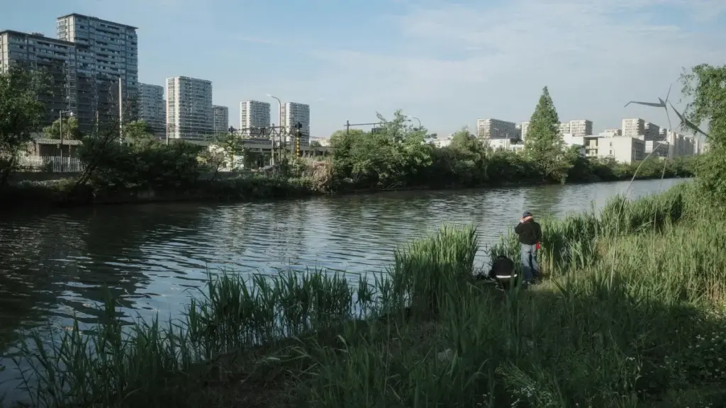 מדריך מעשי לסטארטאפים ו־CMOs בישראל: איך לאתר, לסנן ולרוץ ניסויים חינמיים עם קריאייטרים בקולומביה בטוויטר — טקטיקות, כלים וסיכונים.