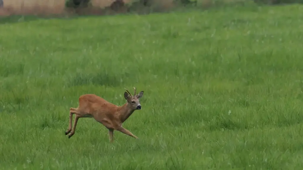 מדריך פרקטי למפרסמים בישראל: איפה ואיך למצוא יוצרים יוונים ב‑vkontakte כדי להריץ אתגר ממומן, עם טיפים לגיוס, תמחור, סיכוני פלטפורמה ופרסום בטוח.