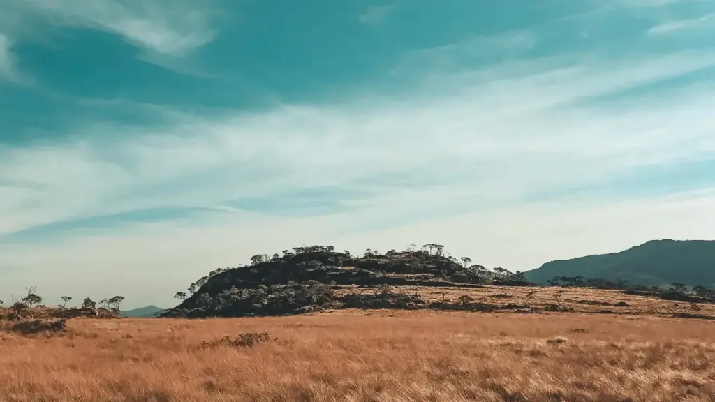 מדריך פרקטי לפרסום משותף עם יוצרים מלזיים ב‑Roposo — אסטרטגיות גיוס, התאמה למותג, כלים וטיפים משפטיים ופיצ’רים שימושיים.