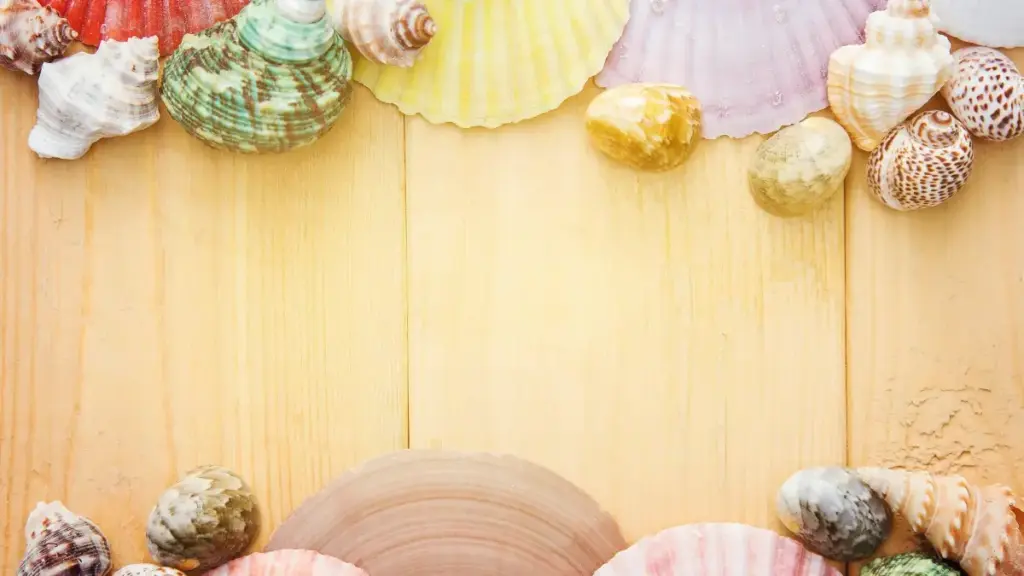 מדריך מעשי למפרסמים בישראל: איפה ואיך למצוא יוצרי תוכן במרוקו ב‑ShareChat לקמפיינים של קולקציות אופנה חדשות.