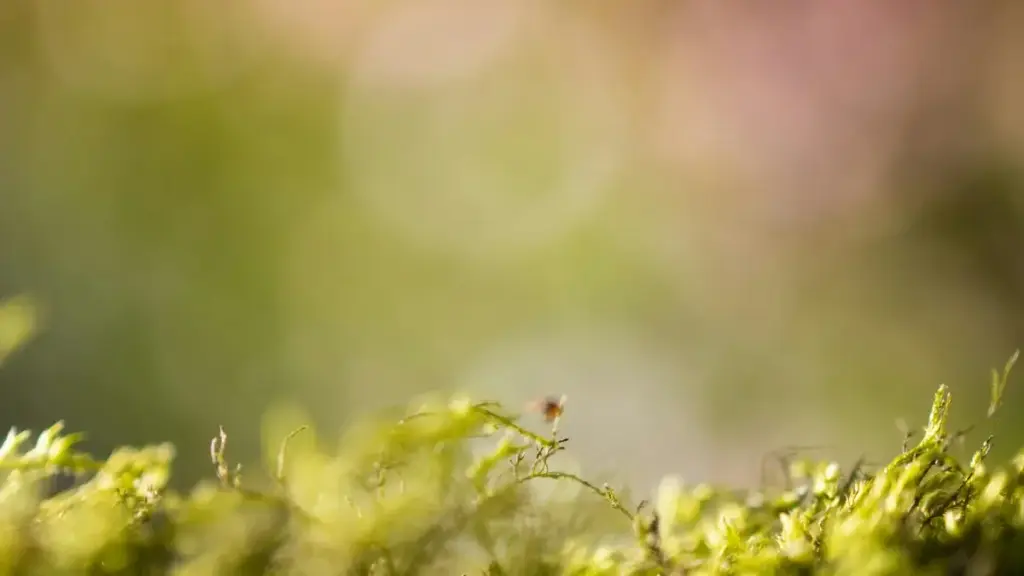מדריך פרקטי ליוצרים בישראל: איך לגלות, להגיע ולשתף פעולה עם מותגי דנמרק על Discord כדי ליצור לוקבוקס אופנה שמשפיע.