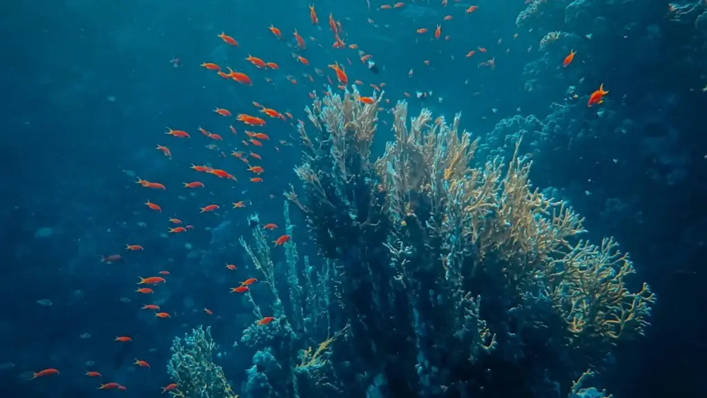 מדריך פרקטי למפרסמים בישראל: איך לזהות יוצרים מארמניה ב‑SoundCloud, לבנות שיתופי פעולה עם סטרימרים ולהניע התקנות אפליקציה דרך קמפיינים קריאטיביים.