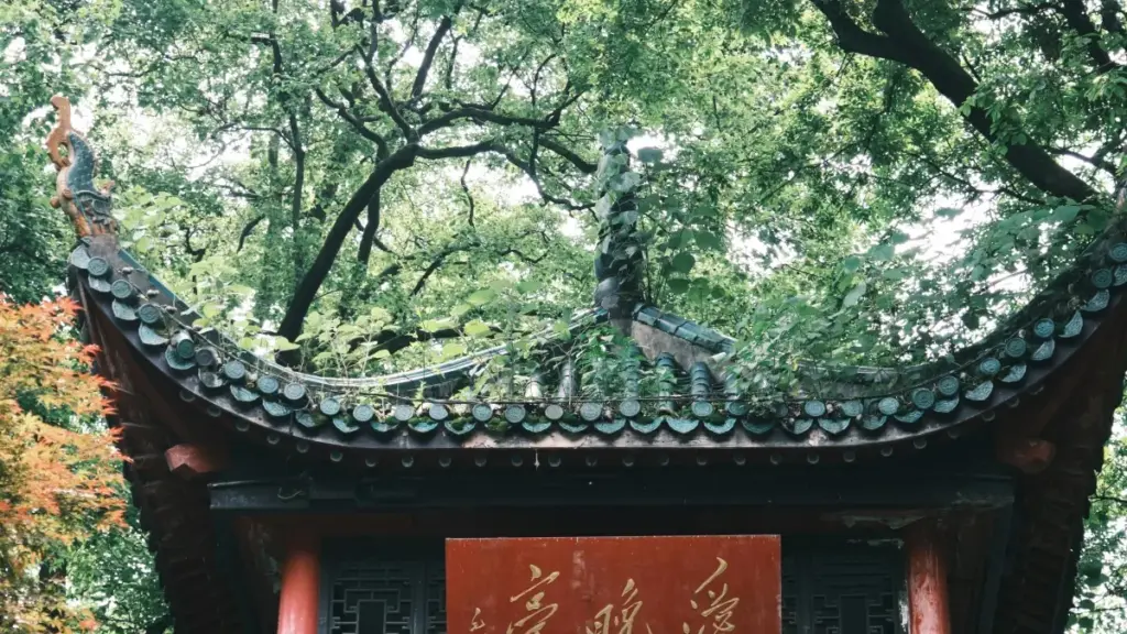 מדריך פרקטי למפרסם ישראלי: איפה ומי מנפאל ליצירת קמפיין אונבוקס ויראלי, איך לגייס, לסגור ולמדוד את ההצלחה.