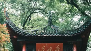 מדריך פרקטי בעברית ליצירת שיתופי פעולה עם מותגים בגאורגיה דרך Twitch, כולל אסטרטגיות פנייה, דוגמאות לכלים ספונסורד ודרכי מדידה.