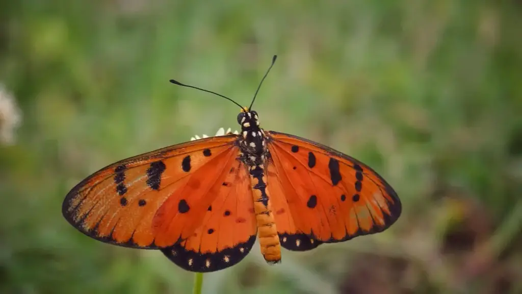 מדריך מעשי ליוצרי תוכן בישראל: איך למצוא, לפנות ולעבוד עם מותגי פארגוואי ב‑Takatak כדי לקדם הרגלי בריאות בקרב קהל צעיר.