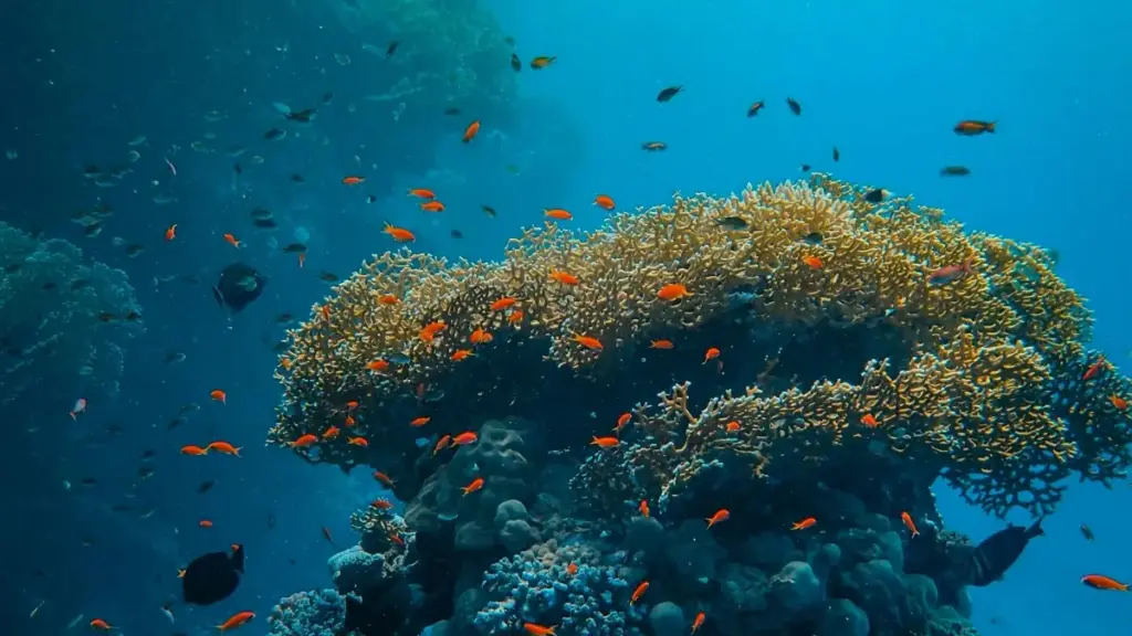 מדריך פרקטי ליצירת קשר עם מותגים בסלובניה דרך Reddit כדי לקבל עבודות כתיבת ביקורות ארוכות — טקטיקות, מקומות נכונים בקהילה, דוגמאות וטעויות שיש להימנע מהן.
