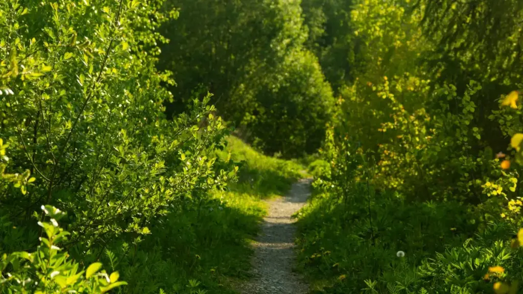 מדריך פרקטי ומקומי למציאת יוצרי Clubhouse מיאנמר כדי להרחיב טירגוט למותגי לייף-סטייל בריאותיים בישראל. אסטרטגיות חיבור, בדיקת אמינות ודוגמות שיתוף פעולה.