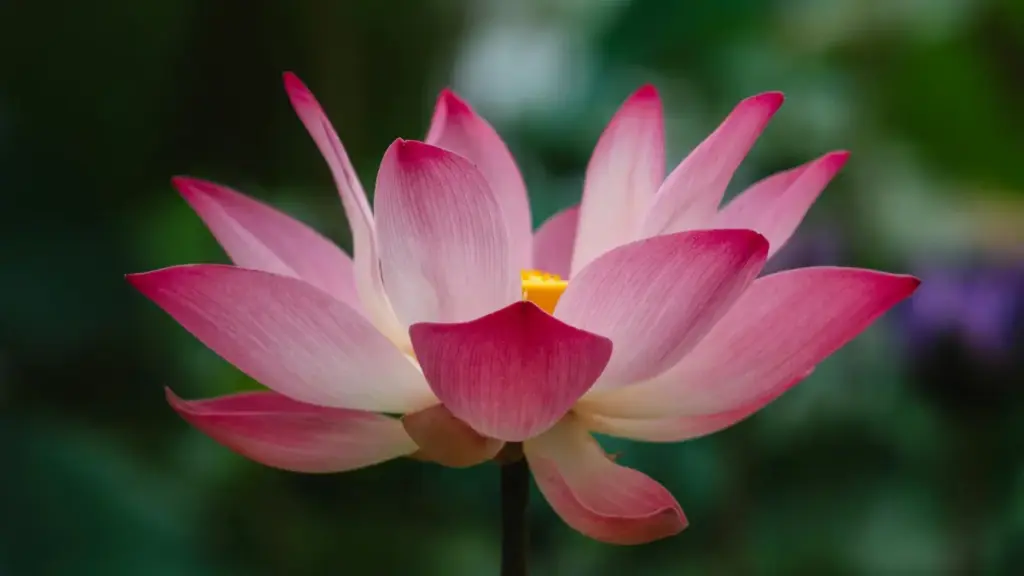 מדריך פרקטי ליוצרים בישראל: איך למצוא, לגשת ולשתף פעולה עם מותגי לאוס דרך SoundCloud כדי להריץ אתגרי סטיילינג.