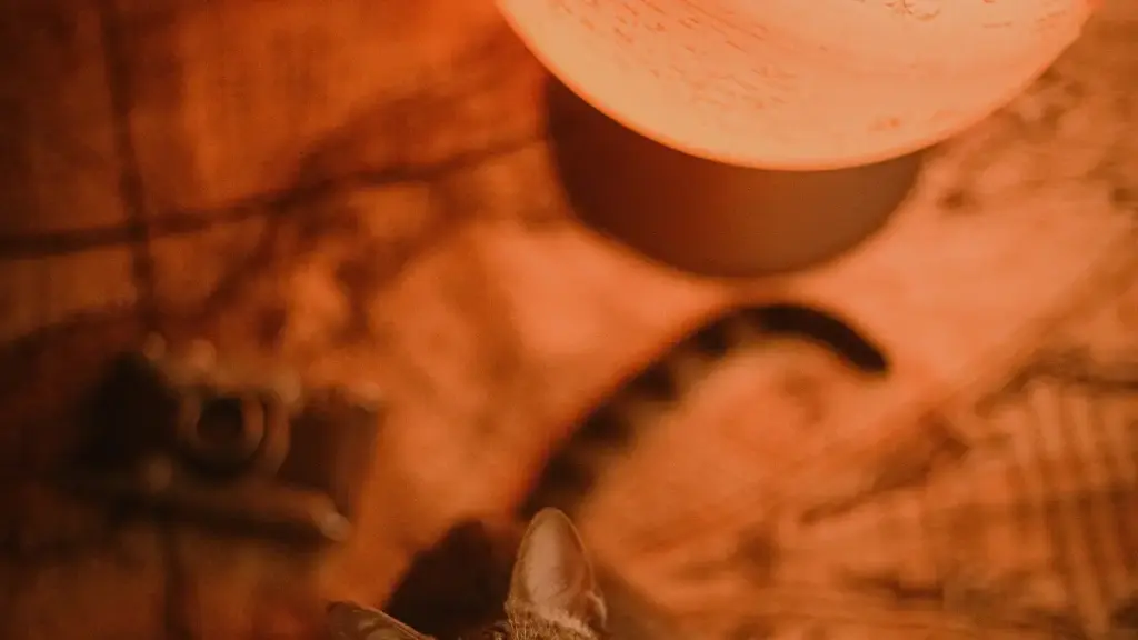 מדריך מעשי למפרסמים בישראל: איך לאתר ולבחור יוצרי ShareChat בקוסטה ריקה להצגת טרנדים עונתיים בעולם האופנה — טכניקות חיפוש, בדיקת אמינות ותסריטי קמפיין.