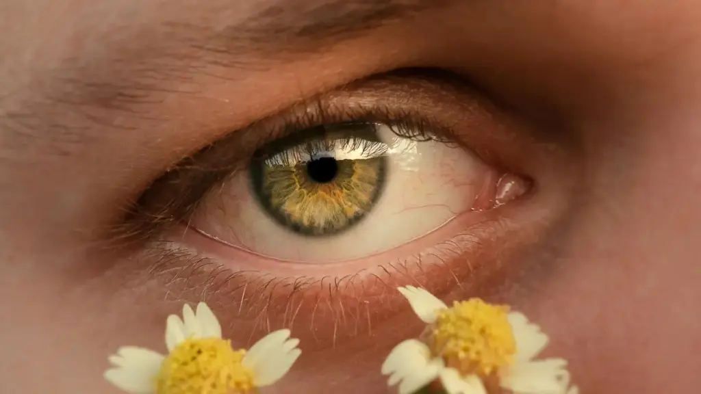 מדריך מעשי ליוצרי תוכן ישראלים: איך למצוא, לגשת וללבנות שיתופי פעולה ארוכי־טווח עם מותגים מלזיים ביוטיוב — טקטיקות, תרבות מקומית ודוגמאות מהשטח.