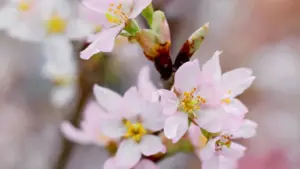 מדריך פרקטי בעברית ליצירת קשר עם מותגי קטר דרך Clubhouse ולבניית מדריכי תכנון טיול שמוכרים.