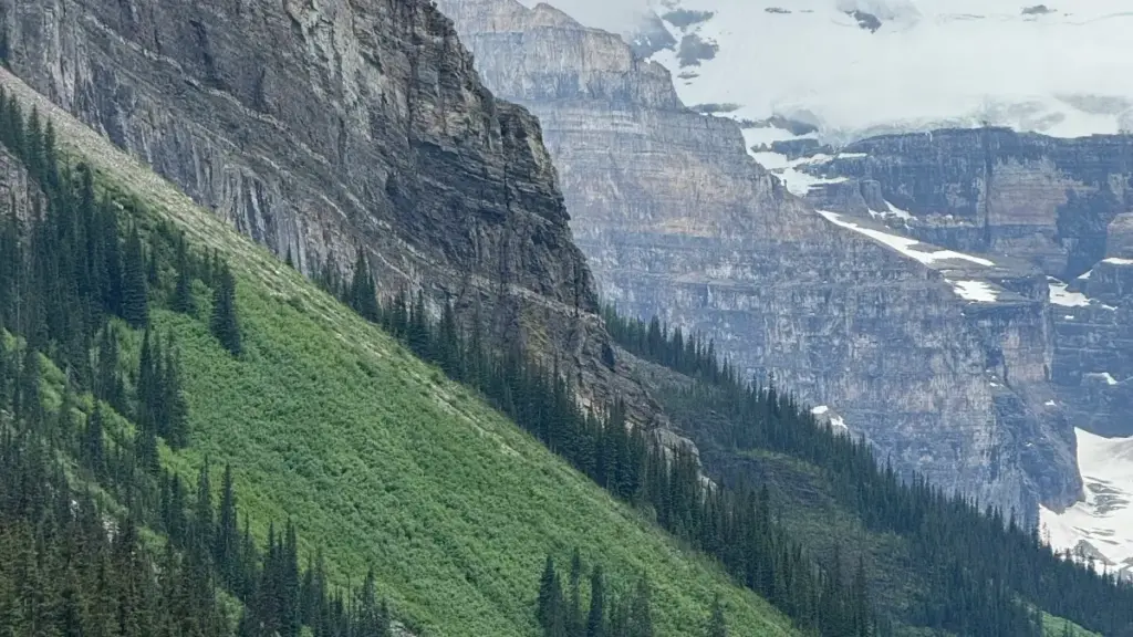 מדריך פרקטי למפרסמים בישראל: איפה ואיך לזהות יוצרים מארגנטינה ב‑OnlyFans, איך לשתף פעולה ולמדוד החזר על ההשקעה באופן בטוח ומקורי.