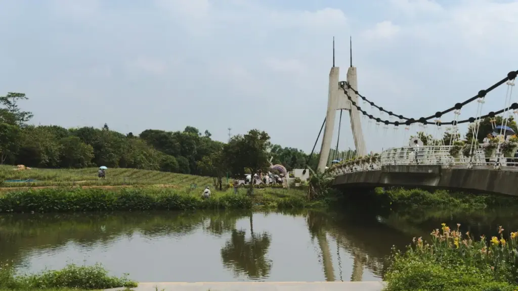 מדריך מעשי למציאת קריאייטרים אורוגוואיים ב‑Zalo, כולל אסטרטגיות whitelisting, סיכונים משפטיים וטקטיקות חיסכון בתקציב — מתאים למפרסמים בישראל שמחפשים דחיפות מכירות מבוססות יוצרים.