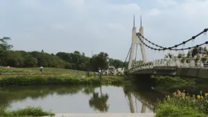 מדריך מעשי למציאת קריאייטרים אורוגוואיים ב‑Zalo, כולל אסטרטגיות whitelisting, סיכונים משפטיים וטקטיקות חיסכון בתקציב — מתאים למפרסמים בישראל שמחפשים דחיפות מכירות מבוססות יוצרים.