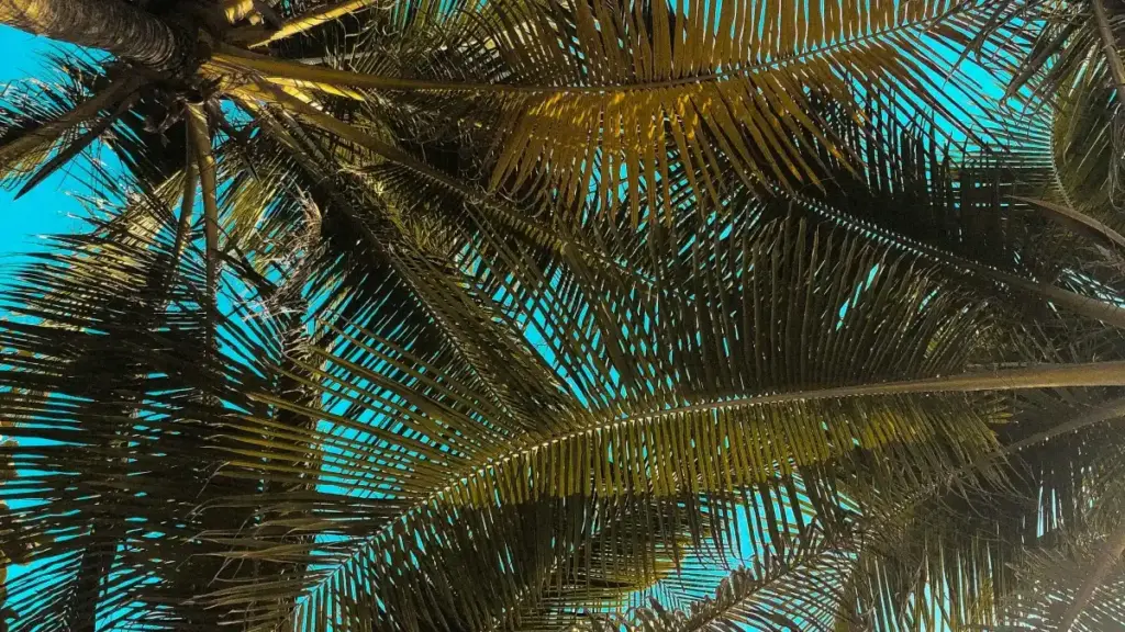 מדריך מעשי ליצירת סרטוני ברנד שורט‑פורם ל‑brands איראנים שמופיעים ב‑Netflix — טקטיקות יצירת קשר, דרכי פיץ', וכלים פרקטיים מתאים ליוצרים ישראלים.