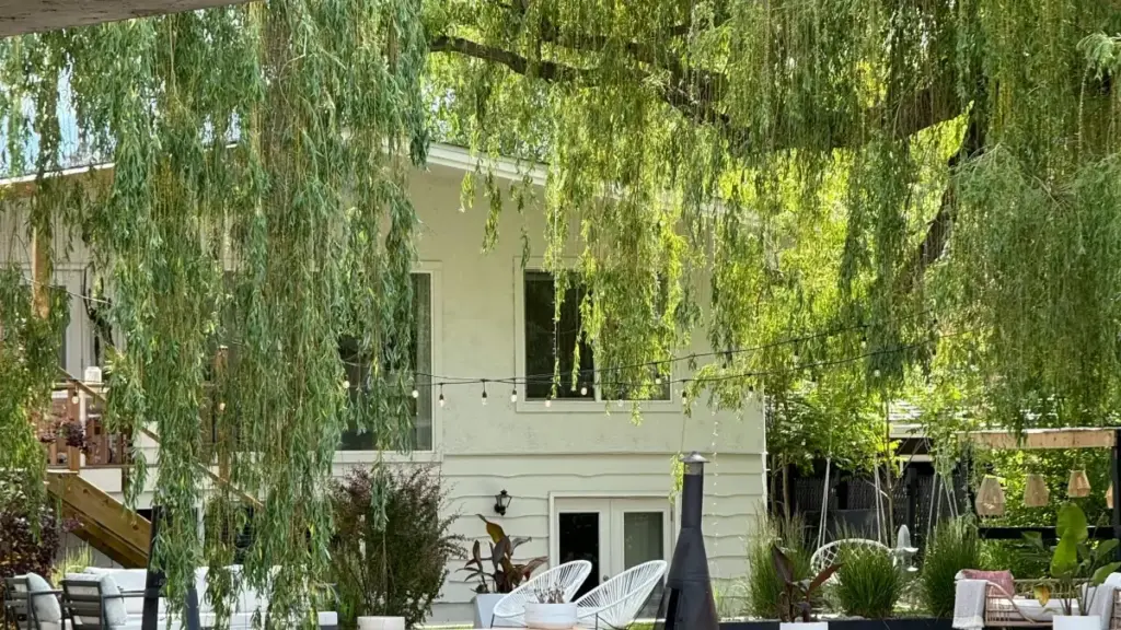 מדריך פרקטי בעברית ליצירת קשר עם מותגי לבנון דרך vkontakte, בניית לוקבוק טוב ושימוש בתובנות שוק עדכניות כדי להגדיל שיתופי פעולה.