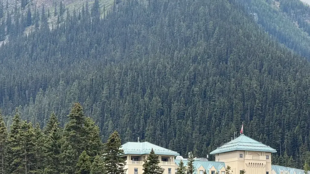 מדריך פרקטי ליוצרים ישראלים: אסטרטגיות לפנייה למותגים בוונצואלה דרך Facebook כדי לארח הגרלות מפתחות משחק — טקטיקות, סכנות, ודוגמות פעולה אמיתיות.