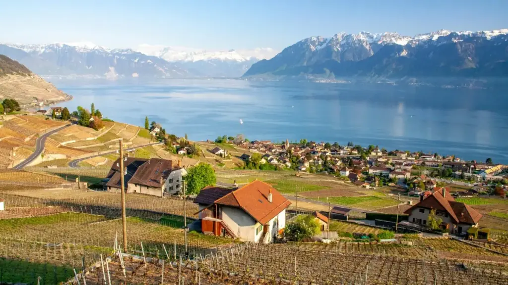 מדריך פרקטי למפרסמים בישראל: איך לאתר יוצרי תוכן הקשורים ל-Netflix בטנזניה ולהמיר השפעה להכנסות — אסטרטגיות, פלטפורמות ודגשים לשוק 2026.