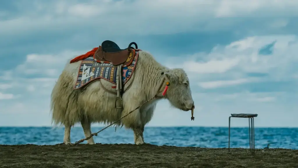 מדריך פרקטי למפרסמים ישראלים: איך לאתר, לבדוק ולשכור יוצרי תוכן ב‑Discord בסינגפור כדי ללוקלייז מסרים בצורה אמינה ויעילה.