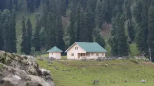 מדריך מעשי ליצירת קשר עם מותגי אופנה ממונגוליה דרך Reddit, אסטרטגיות להתממשקות, דוגמאות מעשיות, וסיכונים מקומיים. מתאים ליוצרי תוכן וסטייליסטים בישראל.