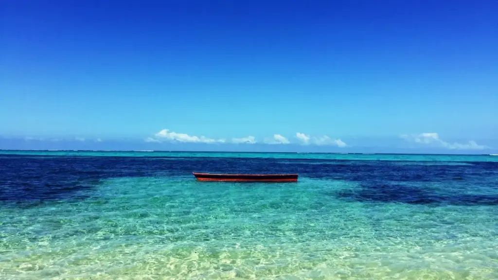 מדריך פרקטי ליצירת קשר עם מותגים מונטנגריים דרך TikTok, בניית אמינות למדיה‑קיט ושיטות פעולה מותאמות לשוק קטן ואירופאי.