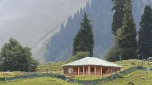 מדריך ישראלי פרקטי: אסטרטגיות להגיע למותגים מפורטו ריקו דרך Xiaohongshu, להתאים פיצ'רים למשחקים ולסגור שיתופי פעולה עם מפיצי משחקים ב‑2026.