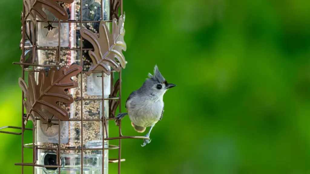 מדריך פרקטי ליצירת קשר עם מותגים נורבגיים דרך Apple Music וערוצים מקבילים — אסטרטגיות גישוש, דוחות, תמחור flat‑fee וטמפלטים שנבדקו בשטח.