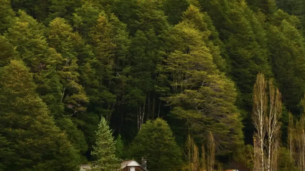 איך מוצאים יוצרי Chingari בטורקיה שמביאים התקנות בפועל, לא רק צפיות? מדריך פרקטי עם סינון, בדיקות, טרנדים ודגשים לשיווק עם סטרימרים.