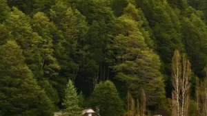 איך מוצאים יוצרי Chingari בטורקיה שמביאים התקנות בפועל, לא רק צפיות? מדריך פרקטי עם סינון, בדיקות, טרנדים ודגשים לשיווק עם סטרימרים.