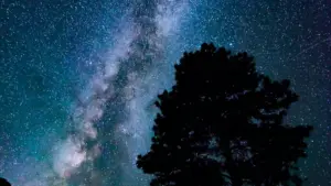 מדריך פרקטי ליוצרים בישראל: איך לאתר מותגים מאוזבקיסטן ב-Kuaishou, איך לפנות אליהם נכון, ואיך למכור להם קונספט של טרנספורמציות לפני־אחרי בלי להישמע כמו ספאם.